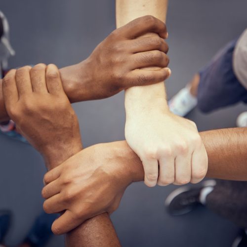 Peer Support Training